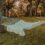 Permission to Rest