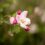 The Hope We Plant Along the Way